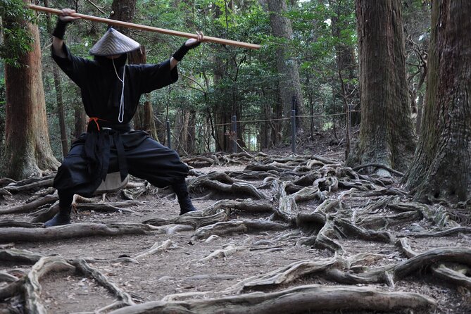Ninja Trekking Half-Day Tour at Mt.Daimonji Kyoto