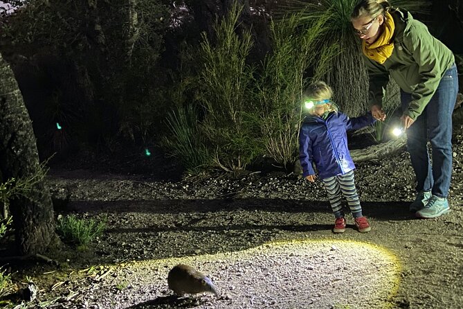 Nocturnal Wildlife Tour From Busselton or Dunsborough