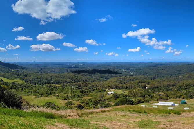 Noosa, Aussie Animals & Glass House Mountains From Brisbane - Departure Point and Time
