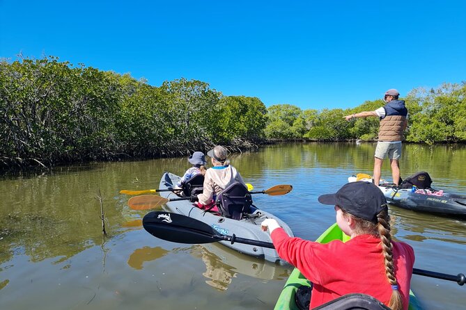 Noosa Everglade Kayak -South/Noosa End – Searching for Stingrays!