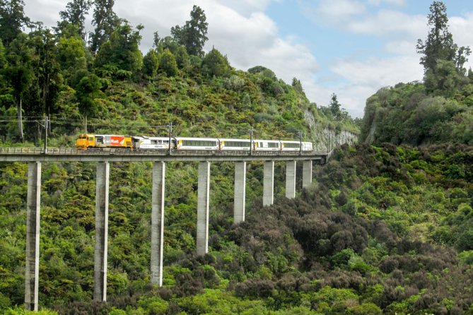 Northern Explorer Train Journey From Auckland to Wellington - Scenic Highlights of the Journey