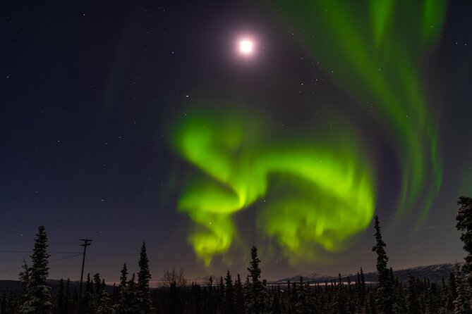 Northern Lights Adventure of a Liftetime From Anchorage - Booking and Cancellation