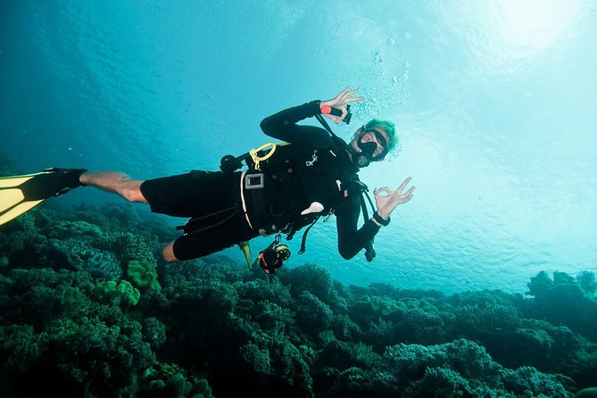 Nusa Penida Two Dives Trip for Certified Divers