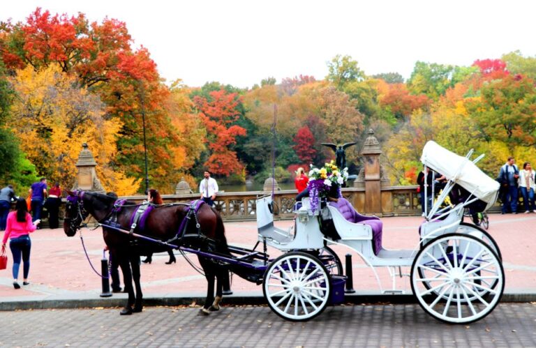 NYC: Central Park Horse-Drawn Carriage Ride (up to 4 Adults)