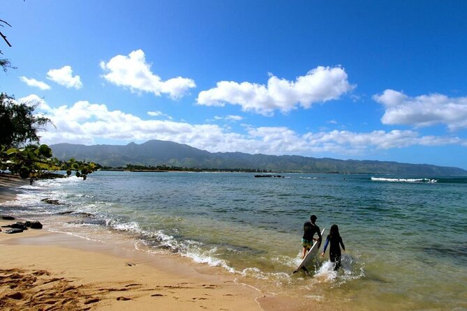 Oahu: Haleiwa Swimming With Sharks Cage-Free Experience