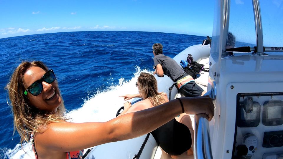 Oahu: Private Whale Watching Adventure - Booking Information