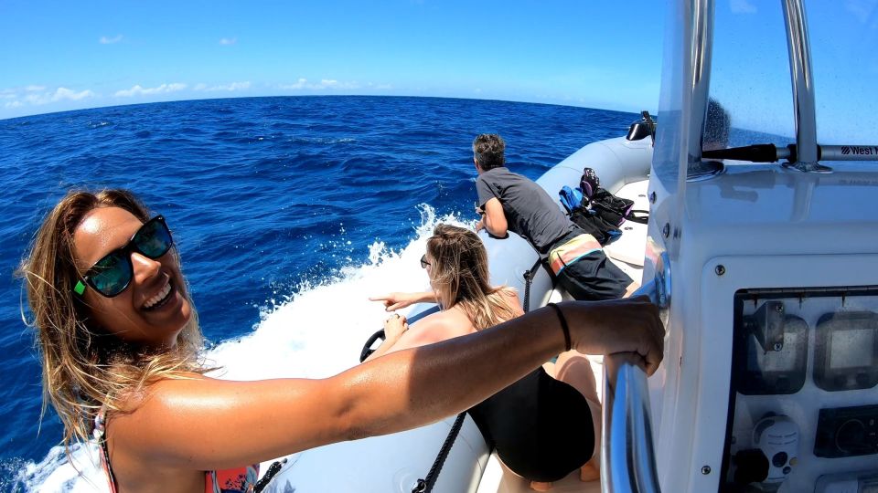 Oahu: Private Whale Watching Adventure