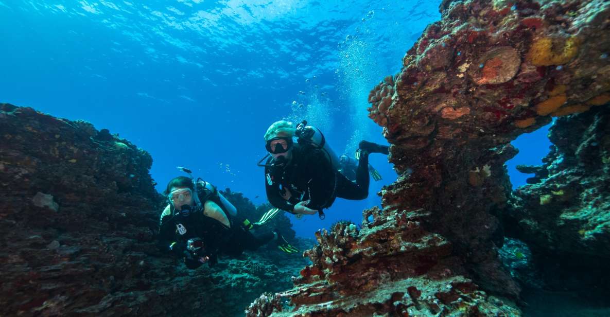 Oahu: Shallow Reef Scuba Dive for Certified Divers