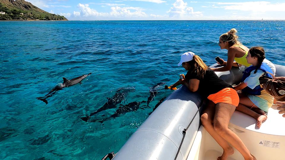 Oahu: Waikiki Private Snorkeling and Wildlife Boat Tour - Experience Highlights