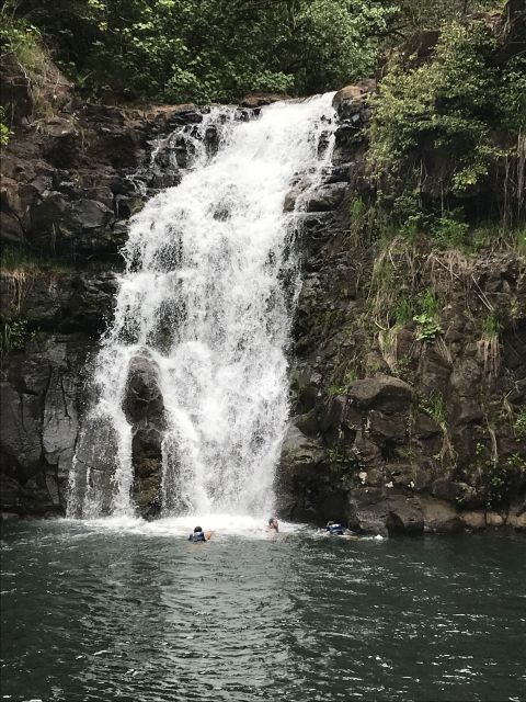 Oahu: Waimea Falls & North Shore Swim With Turtles Beach Day - Booking Information for Waimea Falls Tour