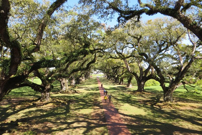 Oak Alley Plantation Half-Day Tour From New Orleans - Visitor Experience