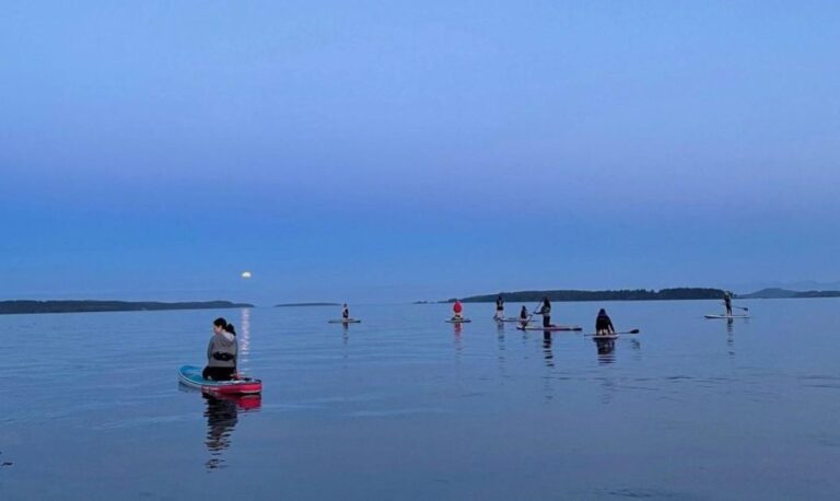 Oak Bay: Full Moon Paddle Experience