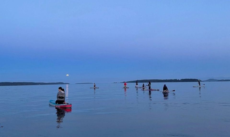 Oak Bay: Full Moon Paddle Experience - Experience Details