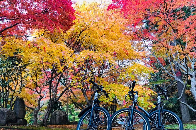 Oasa Country Cycling (Easy Access From Hiroshima 1 Hr Scenic Bus) - Tour Inclusions