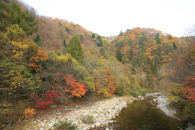 Odaesan National Park Hiking Day Tour: Explore Autumn Foliage Korea
