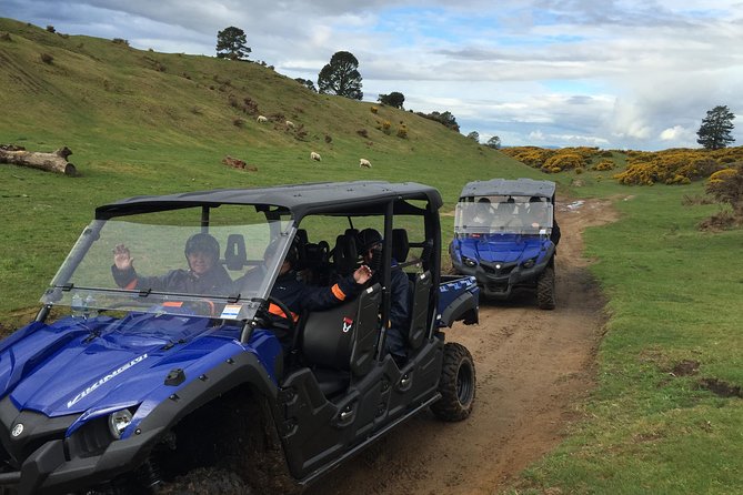 Off-Road 4WD Buggy Adventure From Rotorua - Booking Information