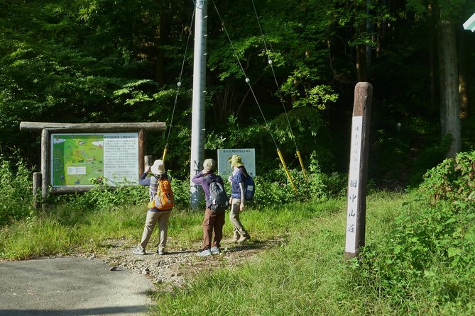 Old Nakasendo Trekking From Karuizawa-Beyond Sugahi Pass to Sakamoto Hotel- - Trekking Experience Overview