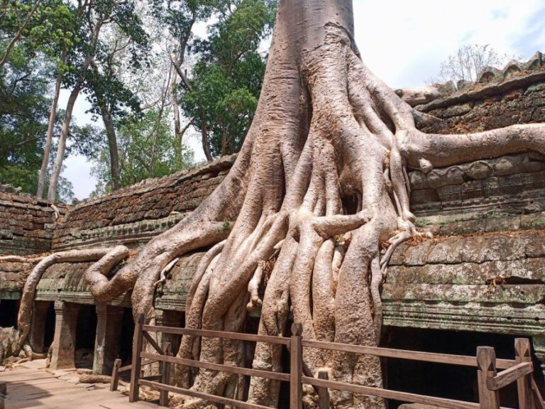One Day Exploration to Angkor Wat, Angkor Thom & Ta Prohm