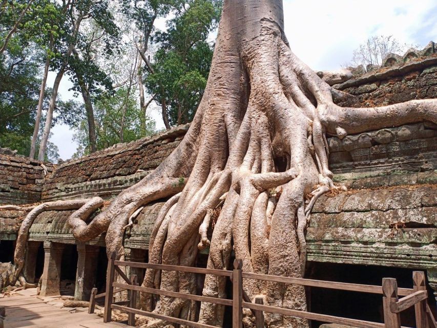 One Day Exploration to Angkor Wat, Angkor Thom & Ta Prohm - Tour Highlights