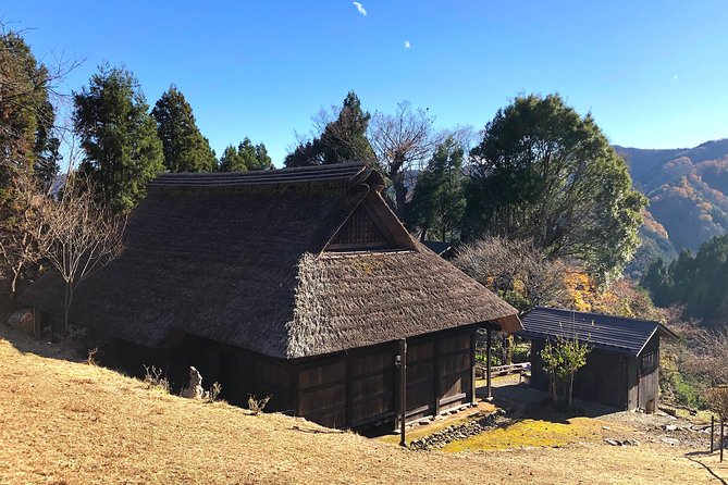 One Day Tour of Tokyos Plentiful Nature in Hinohara Village - Hinohara Village: A Hidden Gem