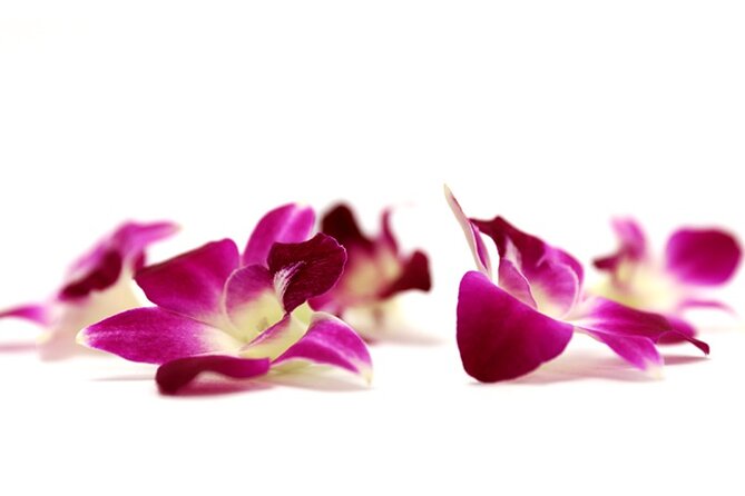 Orchid Airport Lei Greeting (Maui, Kahului Airport, OGG) - Service Details