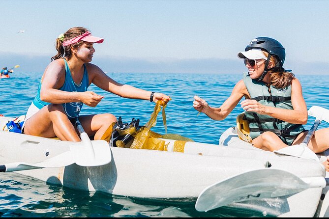 Original La Jolla Sea Cave Kayak Tour for Two - Tour Highlights