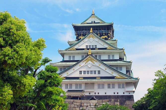 Osaka : Private Custom Walking Tour With a Local Guide - Pricing and Booking Details