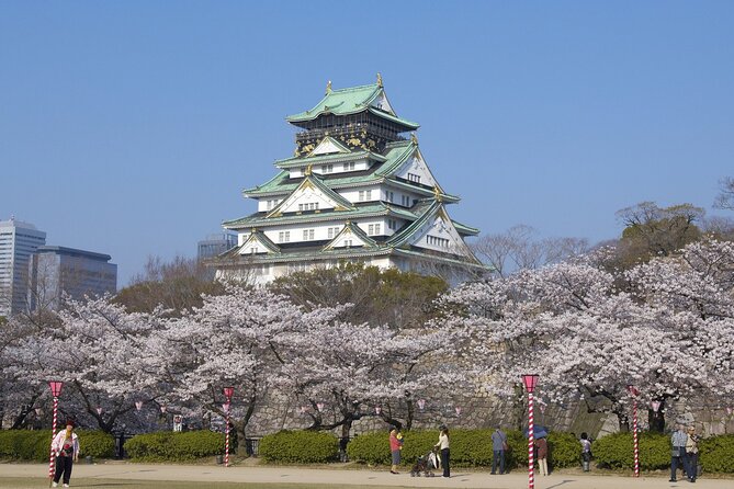 Osaka Private Customize Tour With English Speaking Driver - Pricing and Booking Details