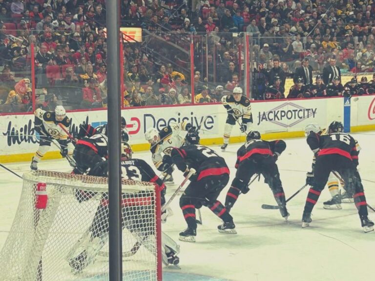 Ottawa: Ottawa Senators Ice Hockey Game Ticket