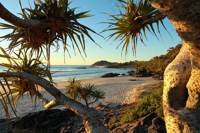 Overnight Tweed Coast Camping and Surfing Getaway From The Gold Coast