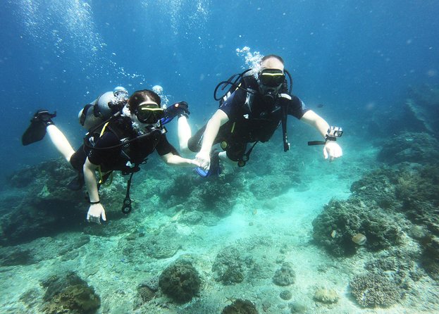 Padangbai Try Scuba Diving Experience: Two Dives With Lunch  - Kuta - Experience Highlights