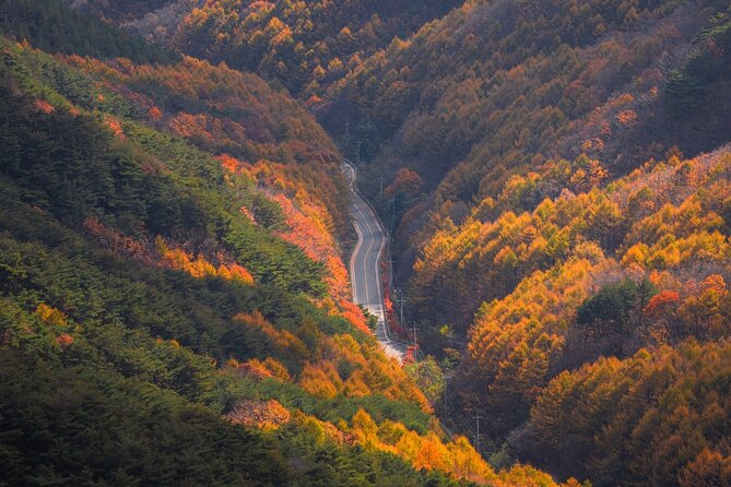 Palgongsan Natural Park Autumn Foliage One Day Tour From Busan
