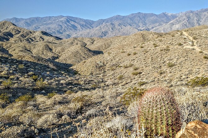 Palm Springs Hike to an Oasis and Amazing Desert Views - Booking and Experience Details