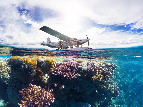 Panorama: the Ultimate Seaplane Tour - Great Barrier Reef & Whitehaven Beach - Transportation Details