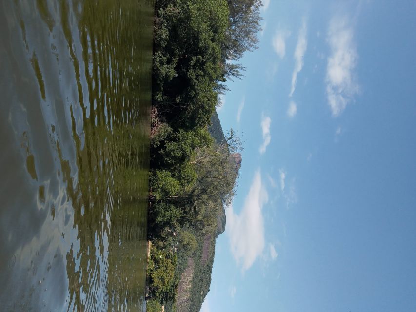 Pantanal of Rio De Janeiro