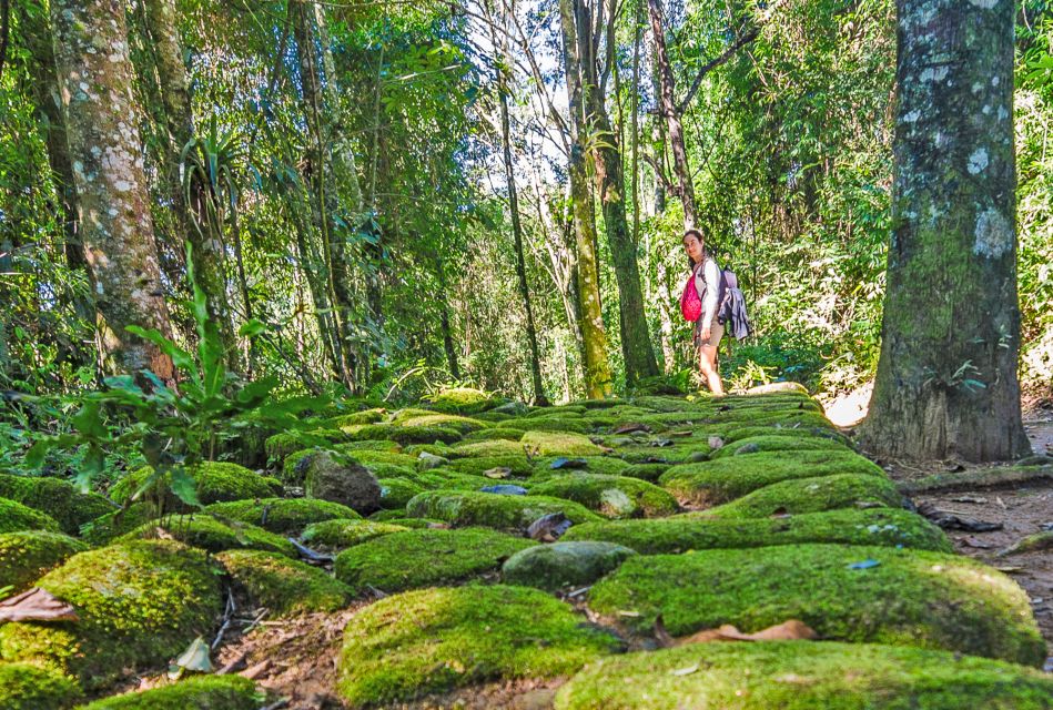 Paraty: Gold Trail Rainforest Hiking Tour