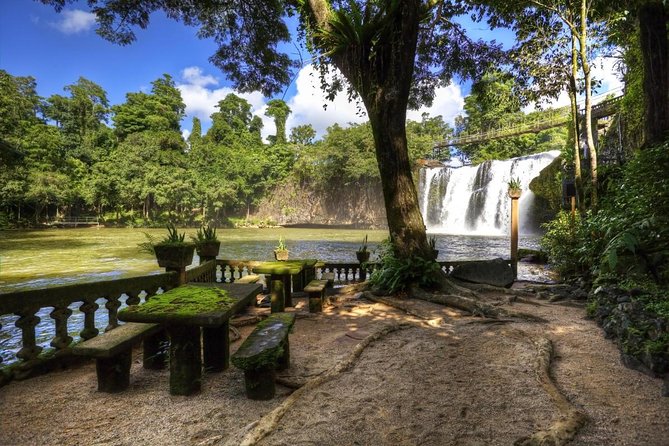 Paronella Park and Millaa Millaa Falls Full-Day Tour From Cairns
