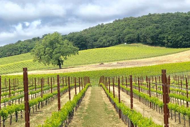 Paso Robles Wine Tour: We Drive Your Vehicle - Customer Service and Driver Experience