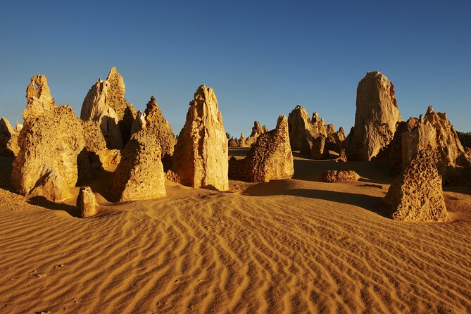 Pinnacles Desert Private Tour - Tour Details