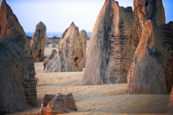 Pinnacles Desert, Yanchep and Swan Valley With Lunch - Itinerary Overview
