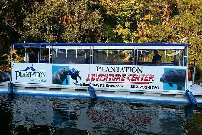 Plantations Kings Bay Sunset Cruise - Expert Commentary and Wildlife Sightings