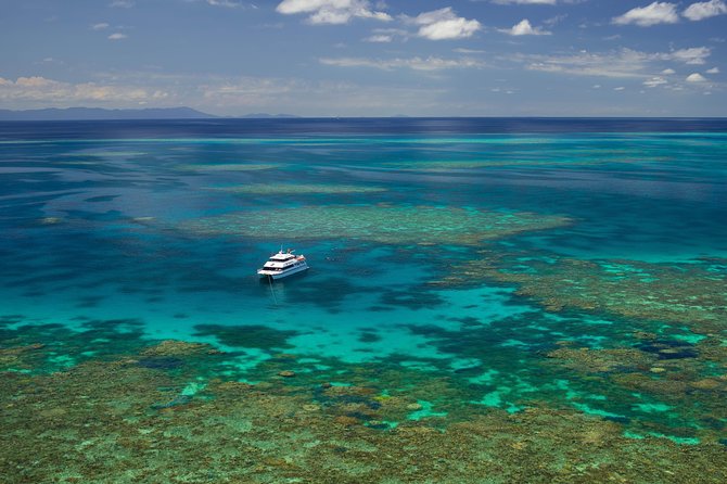 Poseidon Outer Great Barrier Reef Snorkeling and Diving Cruise From Port Douglas - Tour Overview and Booking Details