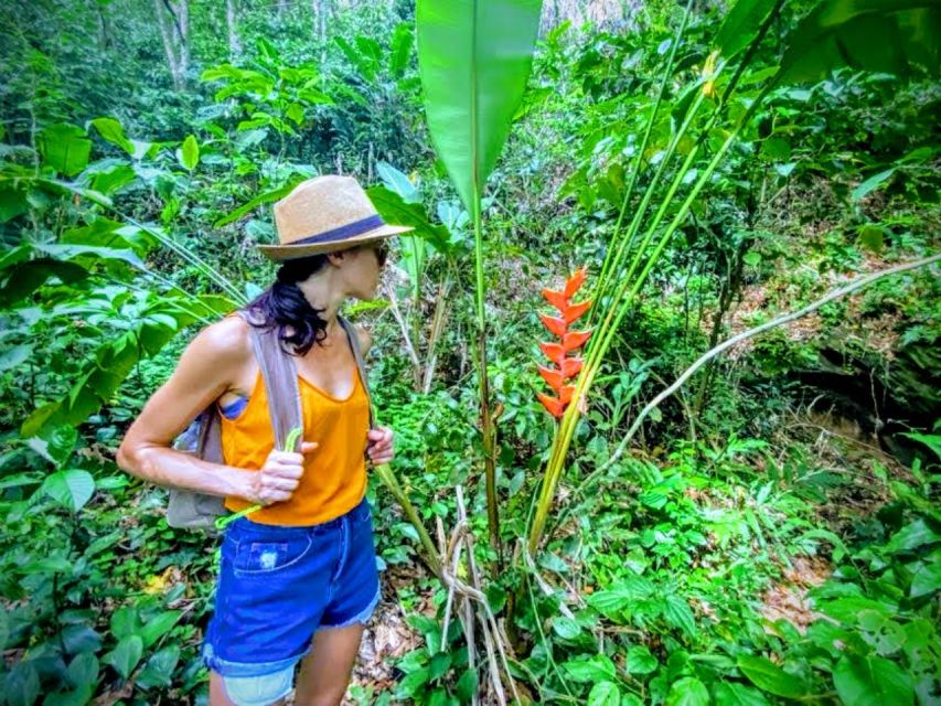 Prainha and Grumari Beaches: Small Group Hike and Swim - Activity Details