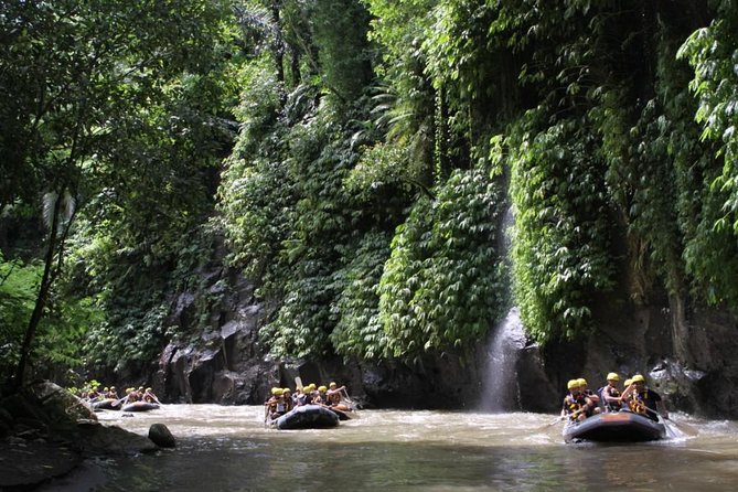 Premium Ayung River White Water Rafting in Bali