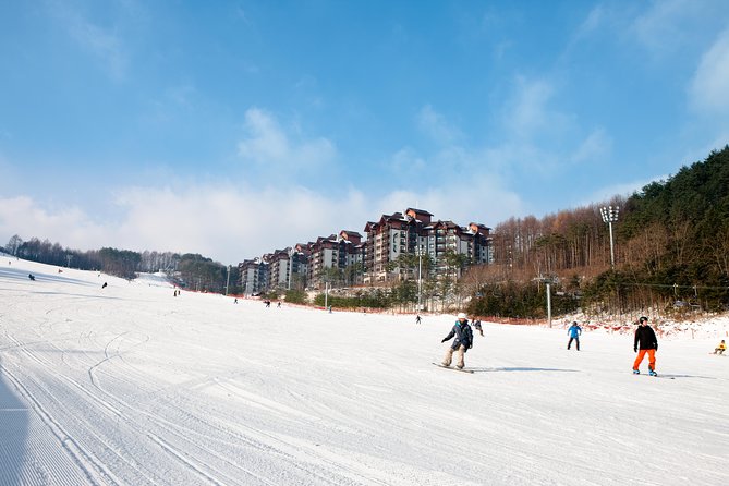 [Premium Private Ski Tour] Pyeongchang Olympic Site (Private Ski Lesson)
