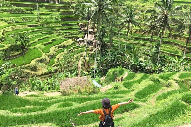 Private 3 Days Best Bali Tour Package - Tour Itinerary Highlights