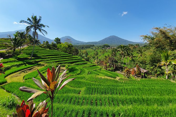 Private All-Day Tour of Bali  – Kuta