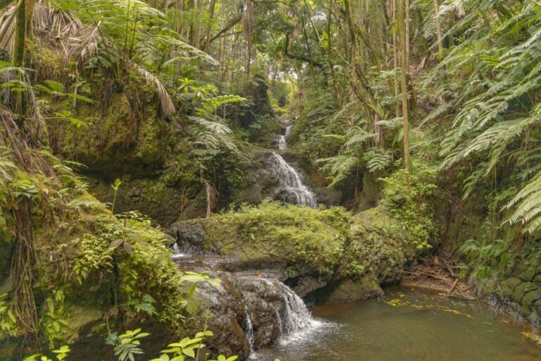 Private – All Inclusive Big Island Waterfalls Tour