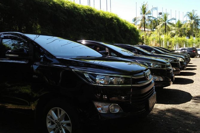 Private Bali Airport Arrival Transfer: Airport to Hotel (Arrival)