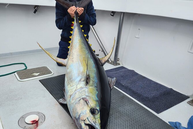 Private Big Game Fishing Charter From Tutukaka, Northland - Booking and Confirmation